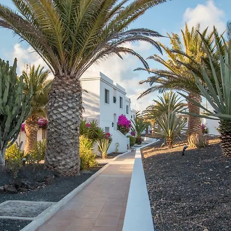 The White Beuty Corralejo